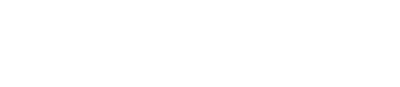 Meshcapade_Name_White_Separated_WhiteText
